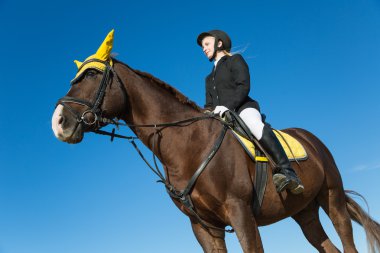 at üstünde oturan genç kız