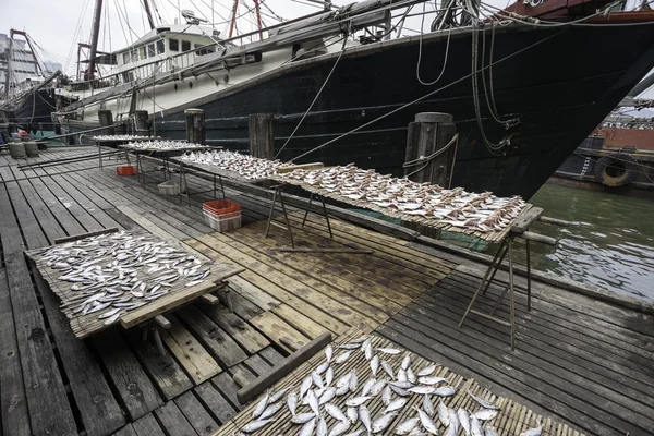 Gedroogd zee vissen op de pier in de haven van macao — Stockfoto