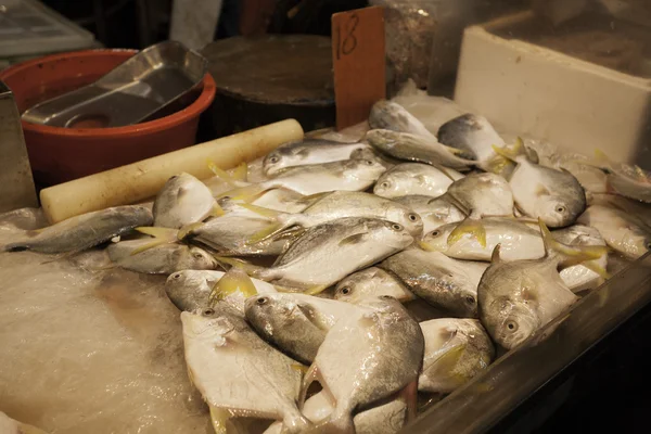 Poisson d'eau salée sur le marché aux poissons de comptoir à Macao . — Photo