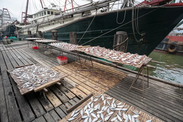 Gedroogd zee vissen op de pier in de haven van macao. — Stockfoto