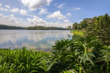 üst seletar Depo Singapur 