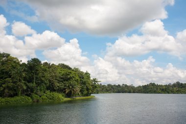 üst seletar Depo Singapur