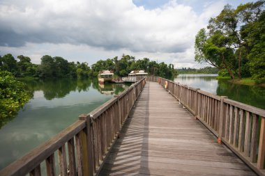 Singapur tekneler ile ahşap iskele