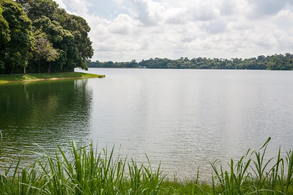 Horní seletar nádrž v Singapuru — Stock fotografie