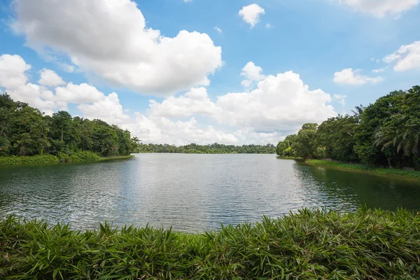 Réservoir Seletar supérieur à Singapour — Photo