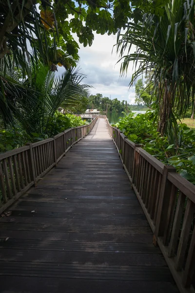 Wooden pier on tropical lake. — Stock Photo, Image