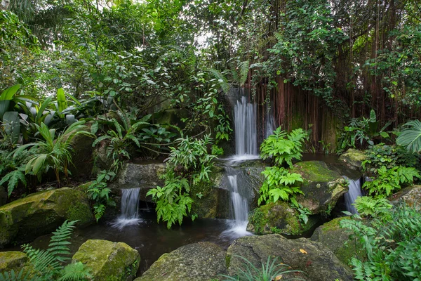 Small waterfalls in a tropical forest — Stock Photo, Image