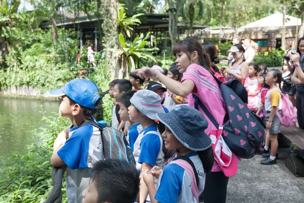 Pupils and teachers at the Singapore Zoo — Stock Photo, Image