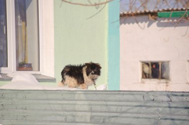 зимняя поездка в сельские районы Казахстана.