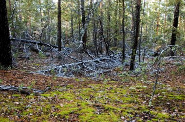 Каркаралинск. Казахстан. Первые заморозки.