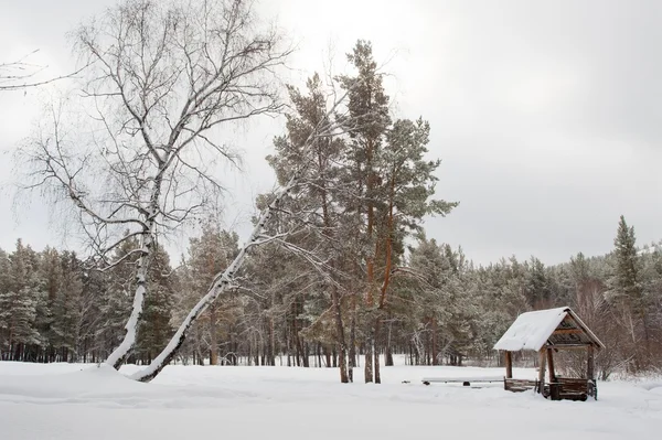 Карпенгаген. Kazakstan. В том числе. Лошади . — стоковое фото