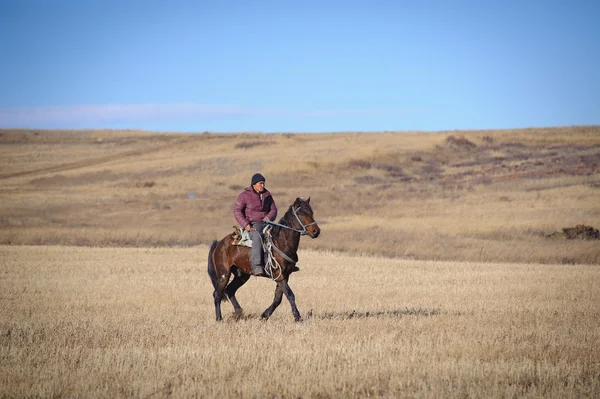 Bayga. koňské dostihy. Kazachstán. — Stock fotografie