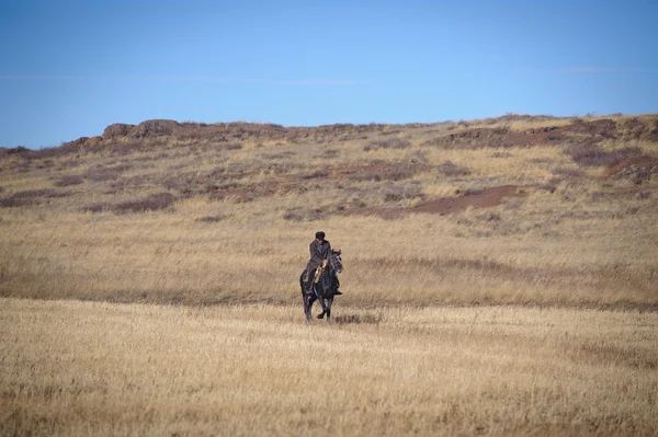 Bayga. Corrida de cavalos. Cazaquistão . — Fotografia de Stock