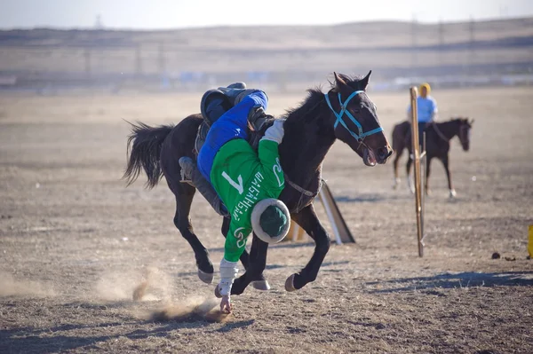 Bayga。競馬。カザフスタン. — ストック写真