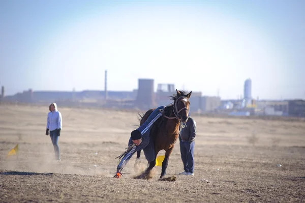 Bayga. Corse di cavalli. Kazakistan . — Foto Stock