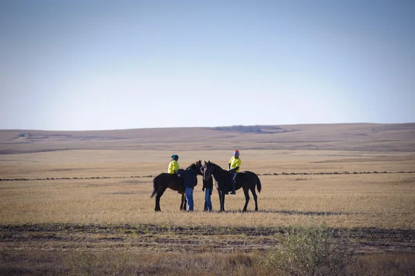 Bayga. wyścigi konne. Kazachstan. — Zdjęcie stockowe