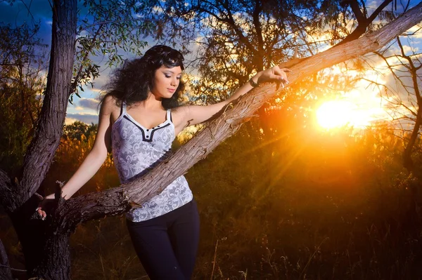 Das ist nicht der Fall.. — Stockfoto