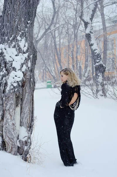 Güzel bir kız kış fotoğraf çekimi — Stok fotoğraf