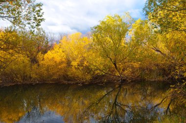 Осень. Природа. Казахстан.