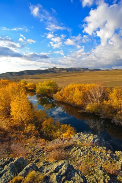 Осень. Природа. Казахстан. — Stockfoto
