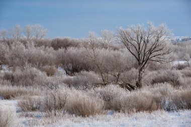 Фотографы зимой.