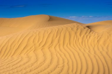 Природа Казахстана. Каспийское море.