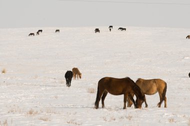 Фотопутешествия на машине.