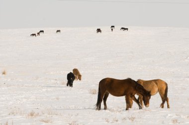 Фотопутешествия на машине.