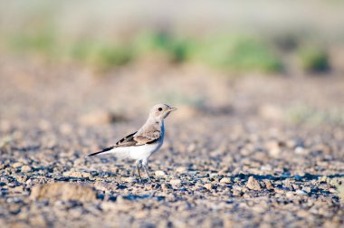 Путешествия по Казахстану.