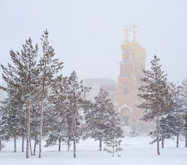 Vinterlandskap med townkyrkan — ストック写真