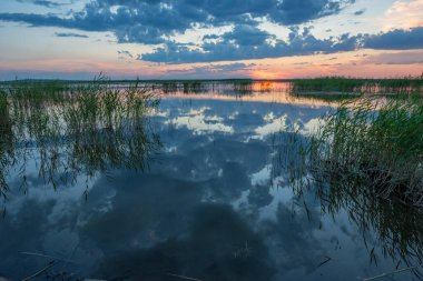 Sazlıklarla kaplanmış gölün arka planına karşı kızgın bir günbatımı..