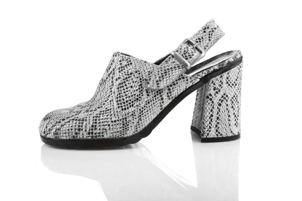 ヘビ革女性の靴 — ストック写真
