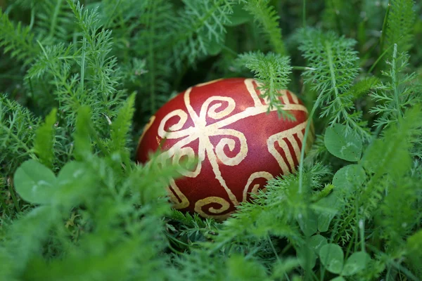 Croatian traditional easter eggs on green grass — Stock Photo, Image