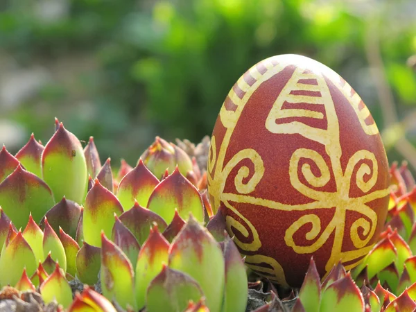 Croatian traditional easter egg in the nature — Stock Photo, Image