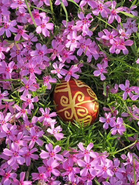 Croatian traditional easter egg on pink flowers — Stock Photo, Image