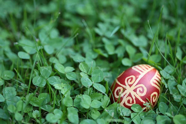 Croatian traditional Easter egg on green grass — Stock Photo, Image