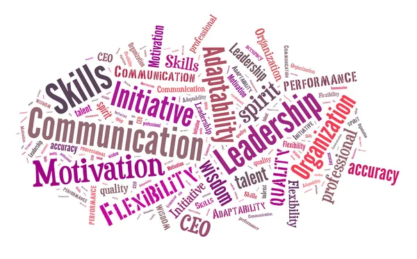 Business Skills Word Cloud — Stockfoto