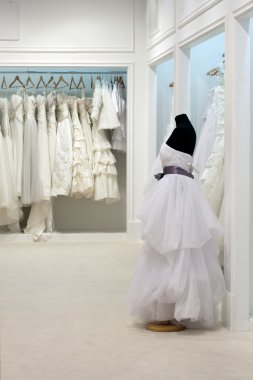 Düğün dizi askıları ve TH manken Giydir다양 한 웨딩 드레스와 일에서 마네킹 옷걸이에