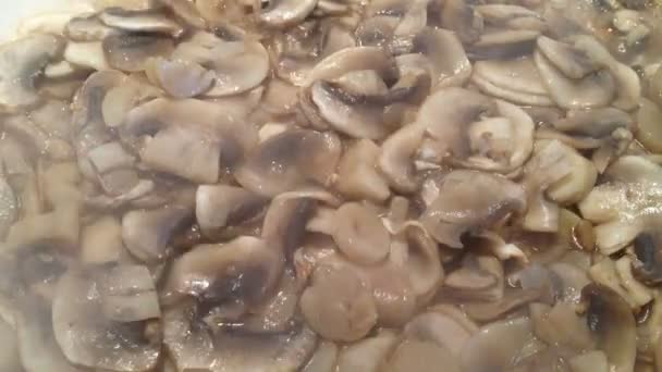 Ragoût de champignons 