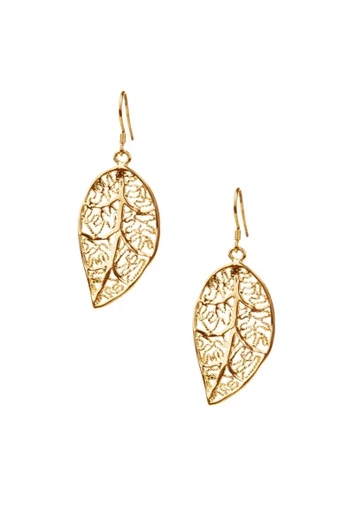 Pair of golden earrings — Stock Photo, Image