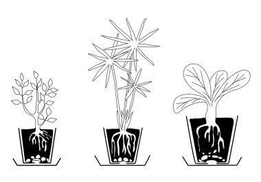 houseplants set - vektör