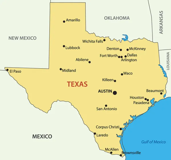 Texas - vektör harita