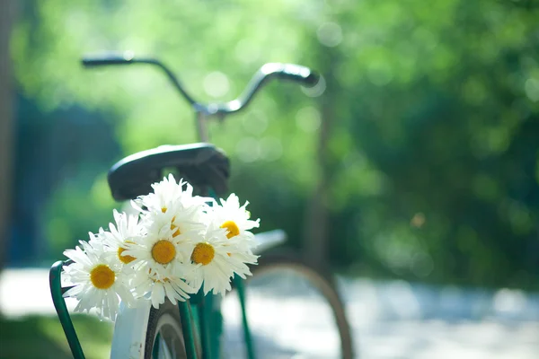 Vieja bicicleta — Foto de Stock