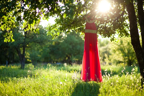 Lang roze jurk — Stockfoto