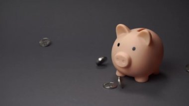 Gri arka planda domuz para kutusu