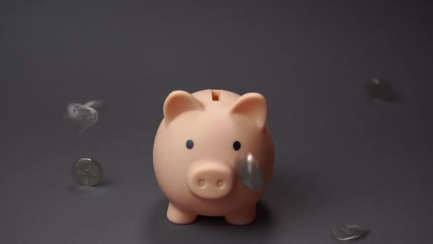 Pig money box at grey background — Stock videók