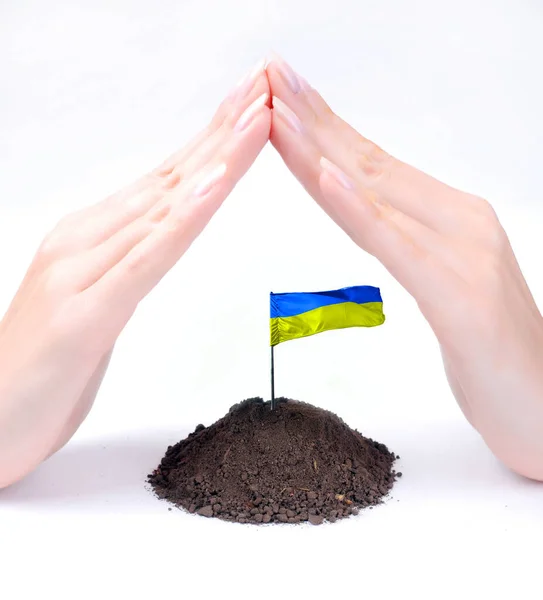 Protecting Ukraine by hands of woman at white background — 스톡 사진