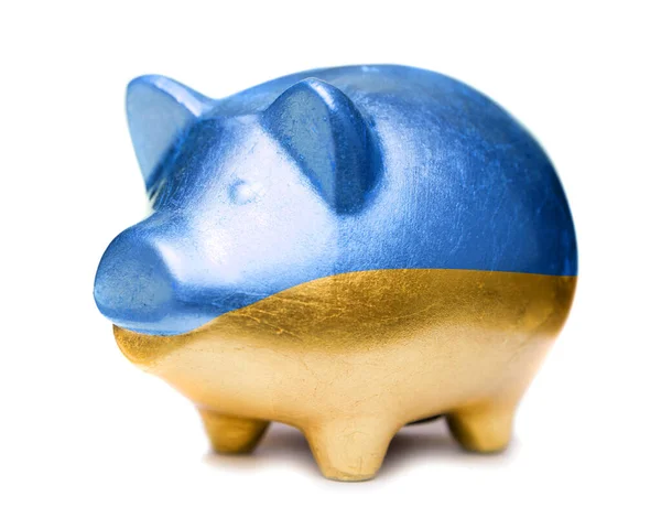Золотая копилка свиньи в цвете украинского флага — стоковое фото