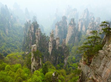 Zhangjiajie Milli Parkı, Çin. Avatar dağlar