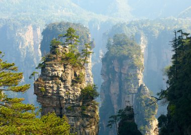 Zhangjiajie Milli Parkı, Çin. Avatar dağlar